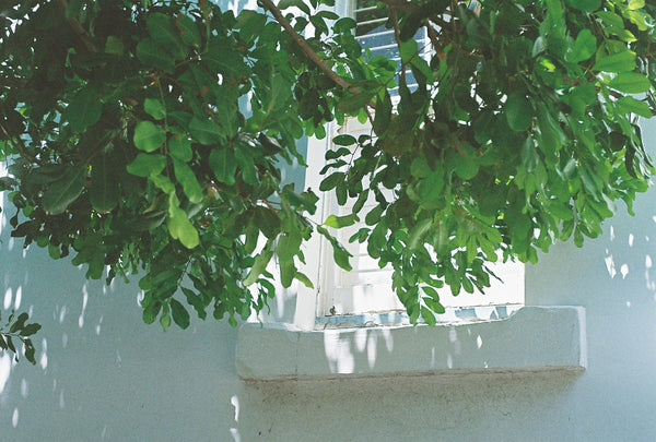 How Stress Affects Our Well-being